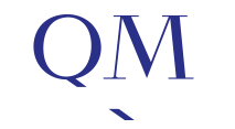 qm logo web footer